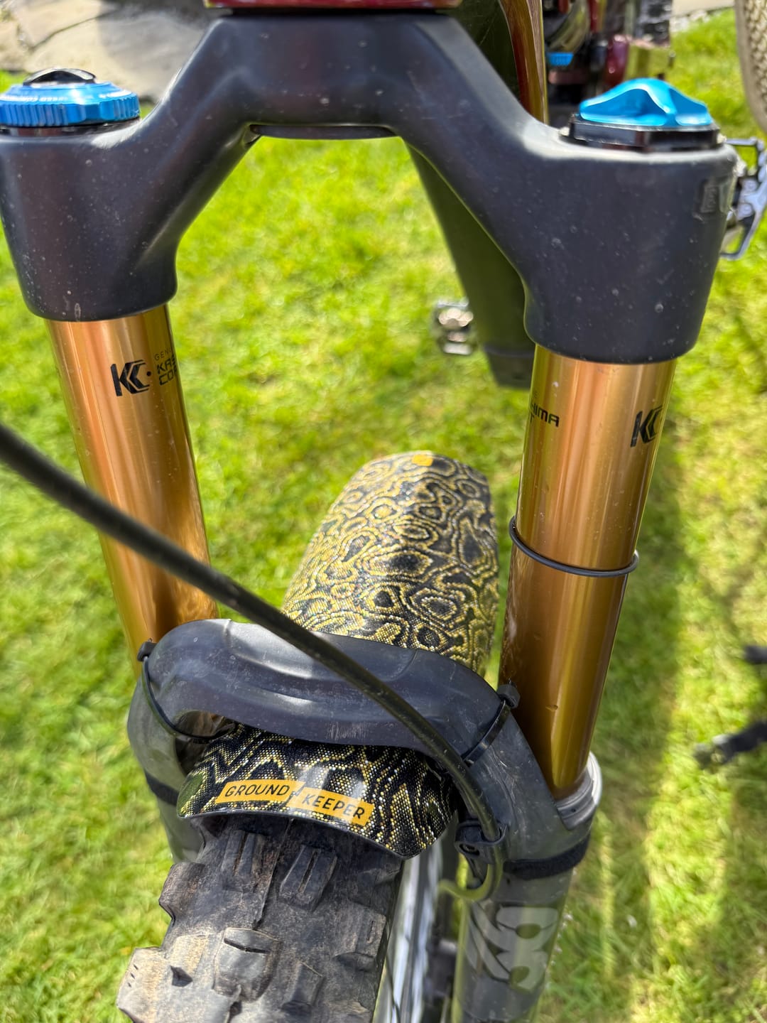 Customer photo review of Snake Charmer Fender