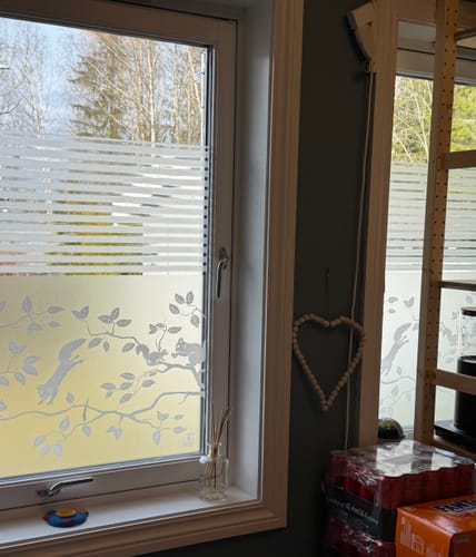 Kundens Pineview vindusfolie med ekornmønster på nedre halvdel av et vindu, med stripete folie over.