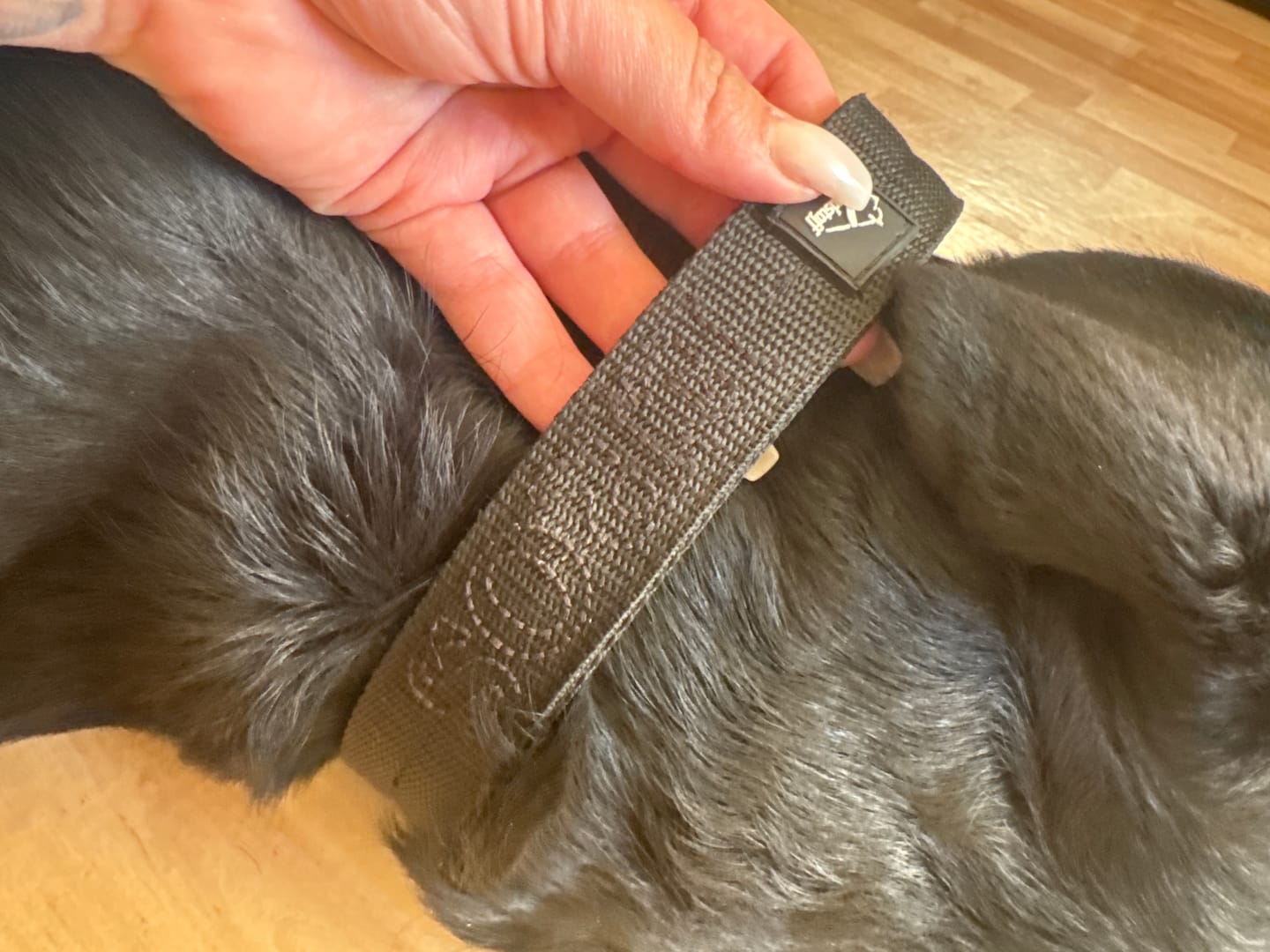 Customer photo review of Helstryp halsband med namn