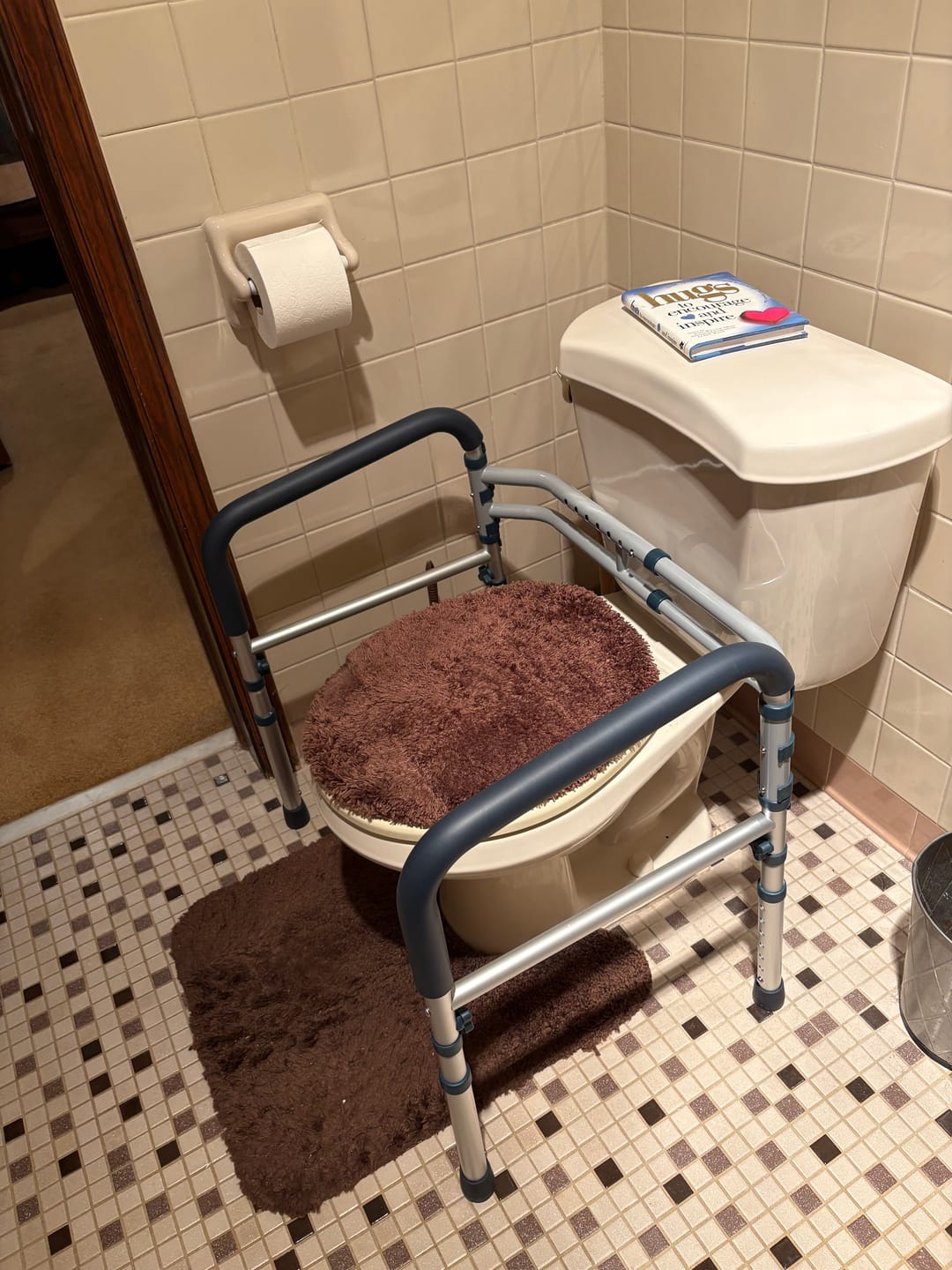 Customer photo review of Toilet Safety Rail (350lb)