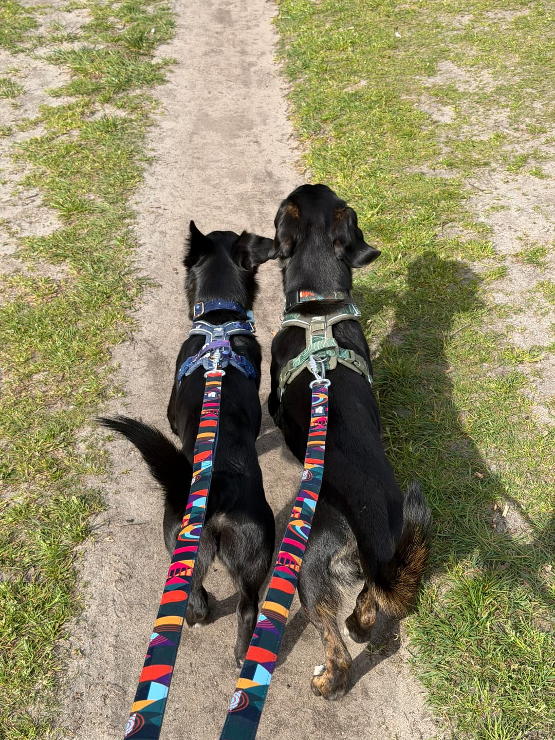 Customer photo review of Close Control Lead