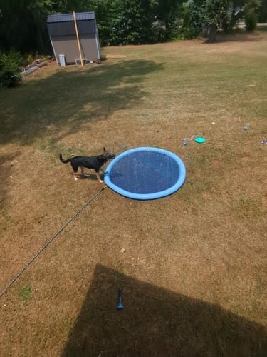 Customer photo review of Spleshee™