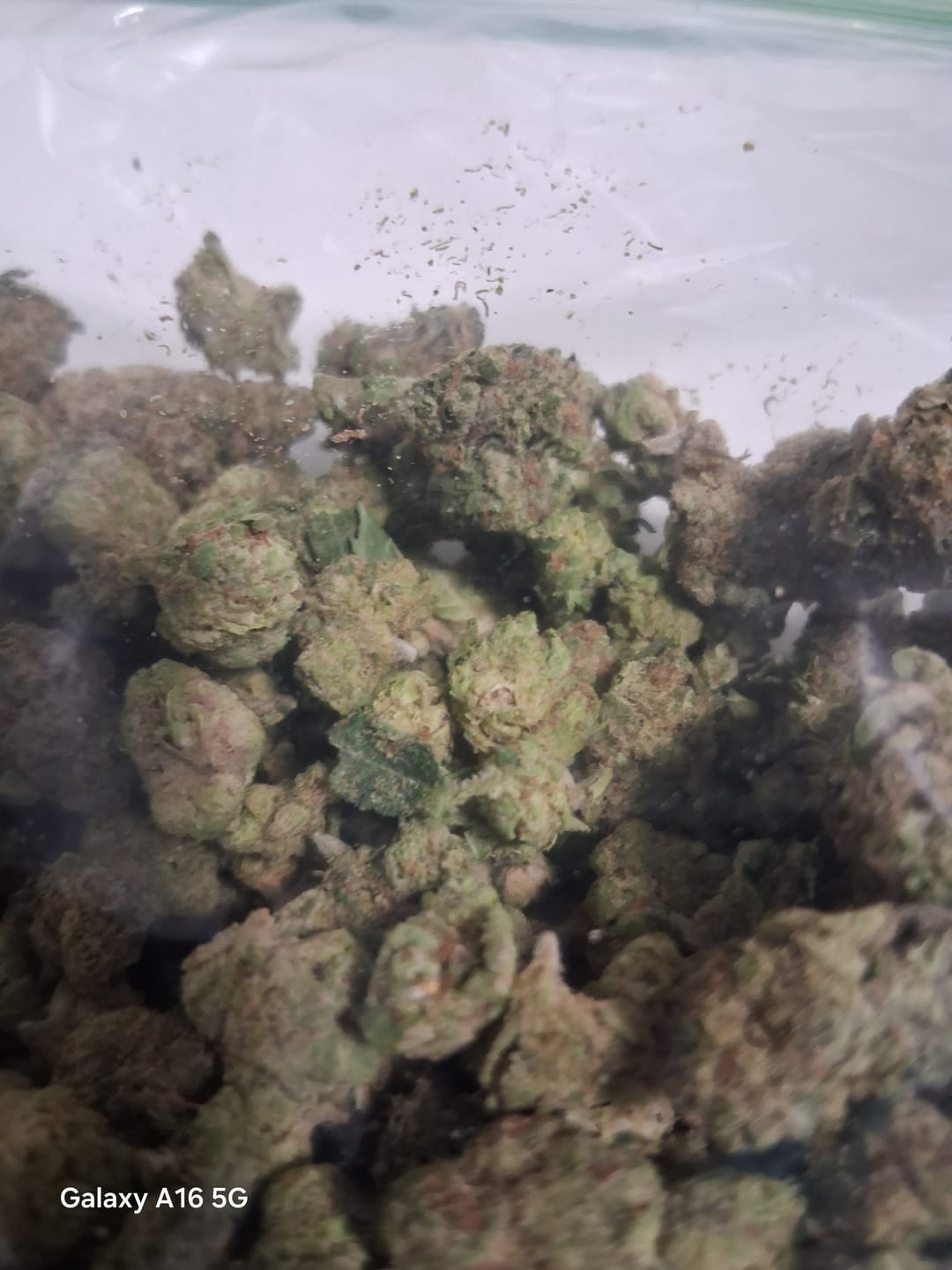 Customer photo review of QP of Smalls - Bulk - 1/4 Pounds