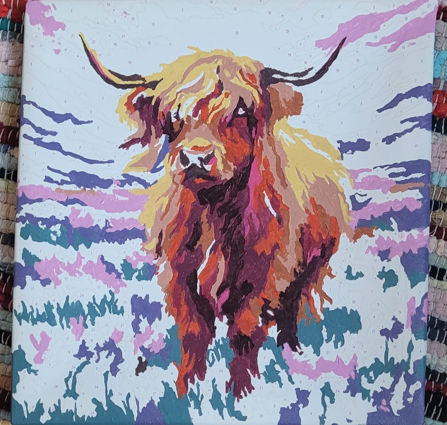 Customer photo review of Highland Cow in Heather