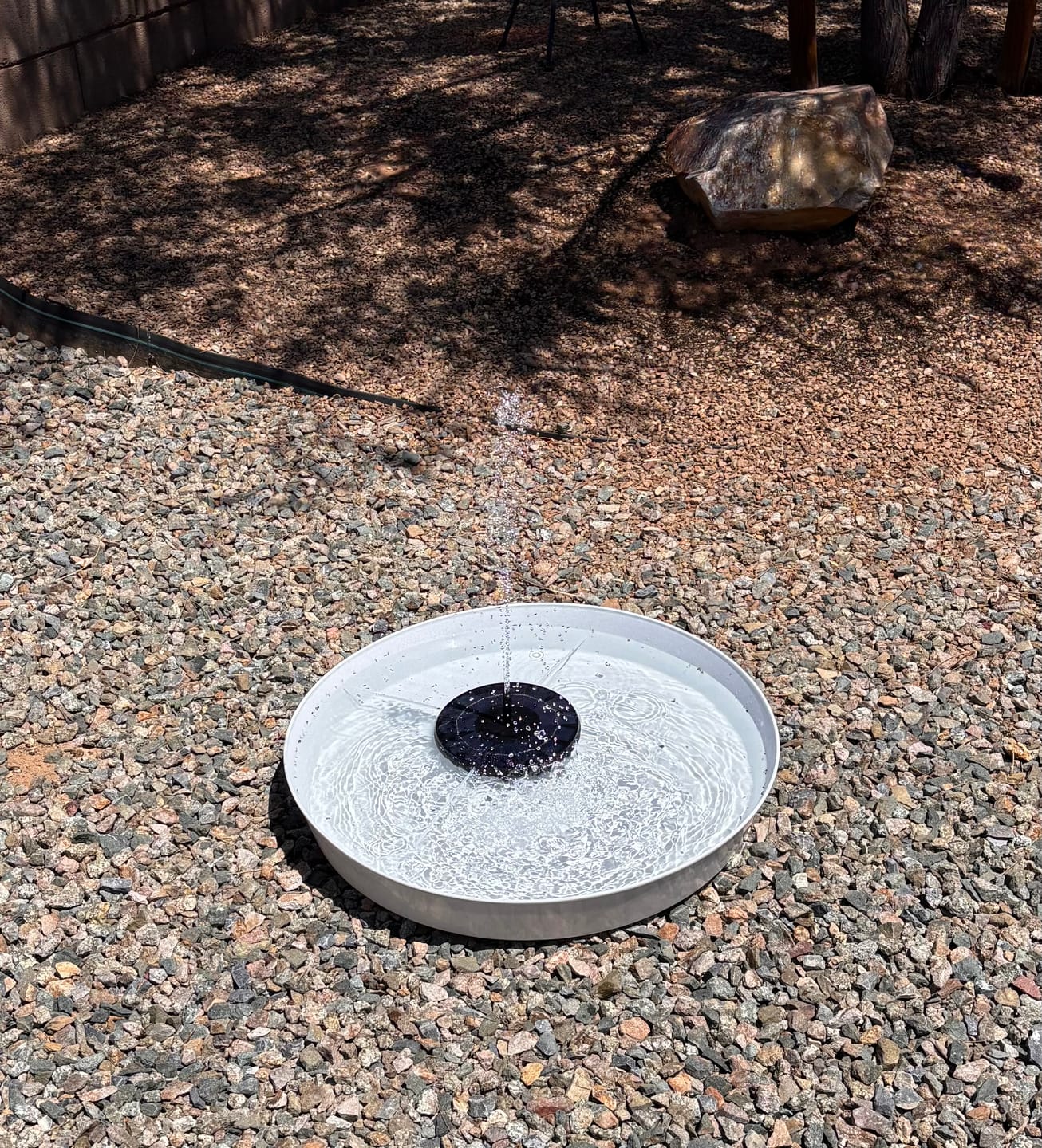 Customer photo review of Austin Planter Plant Saucer White Granite Colored Polypropylene -Indoor/Outdoor -Made in USA
