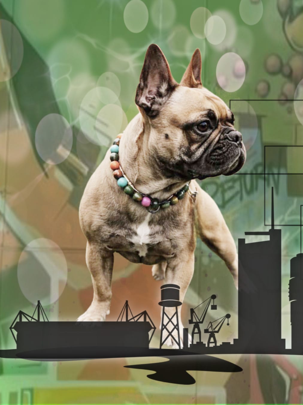 Customer photo review of FEED-BANNER mit deinem Design