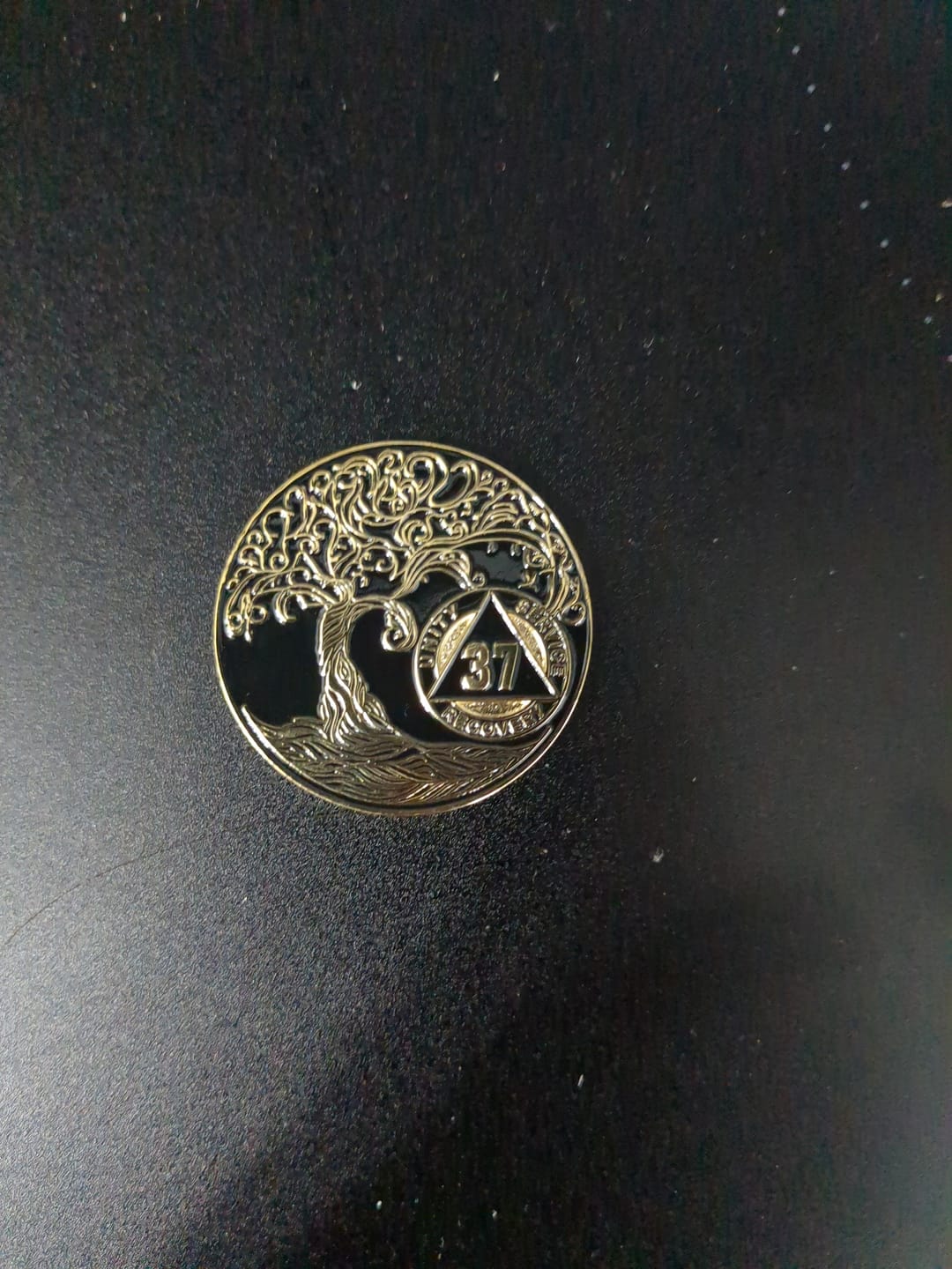 Customer photo review of 37 Year Sobriety Mint Twisted Tree of Life Gold Plated AA Recovery Medallion - Thirty-Seven Year Chip/Coin - Black