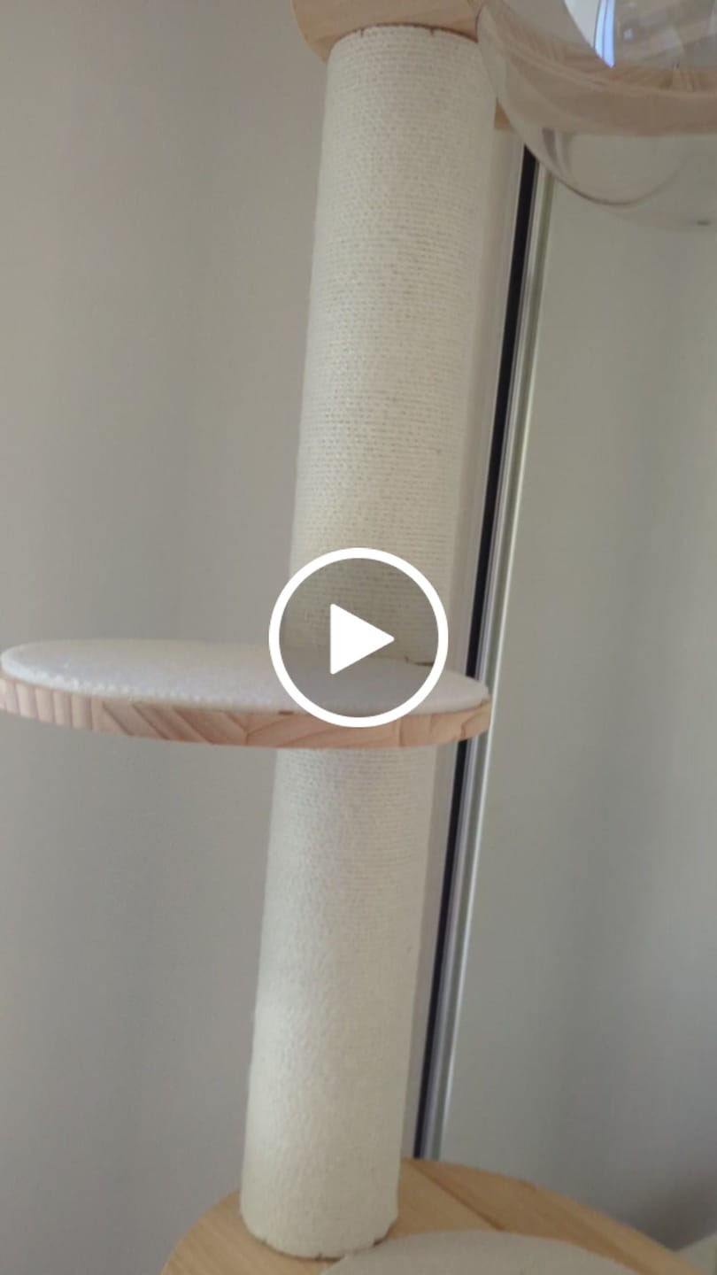 Customer video review of Solid Wood Adjustable Ceiling-Mounted Cat Tower - Style B