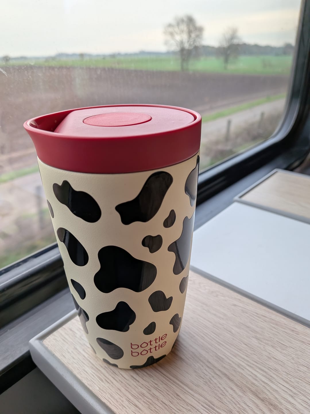 Customer photo review of BeakCup