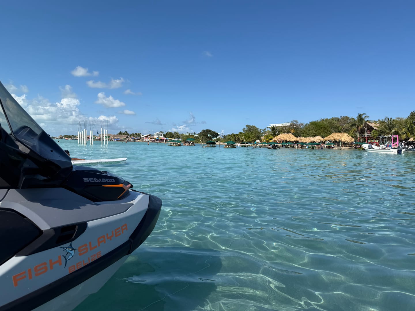 Customer photo review of Boat Logo Decal