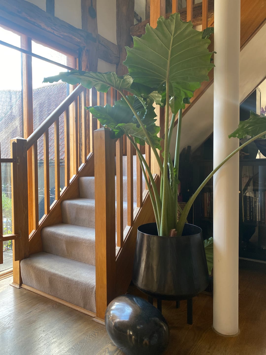 Customer photo review of Endo Reclaimed Iron Planter