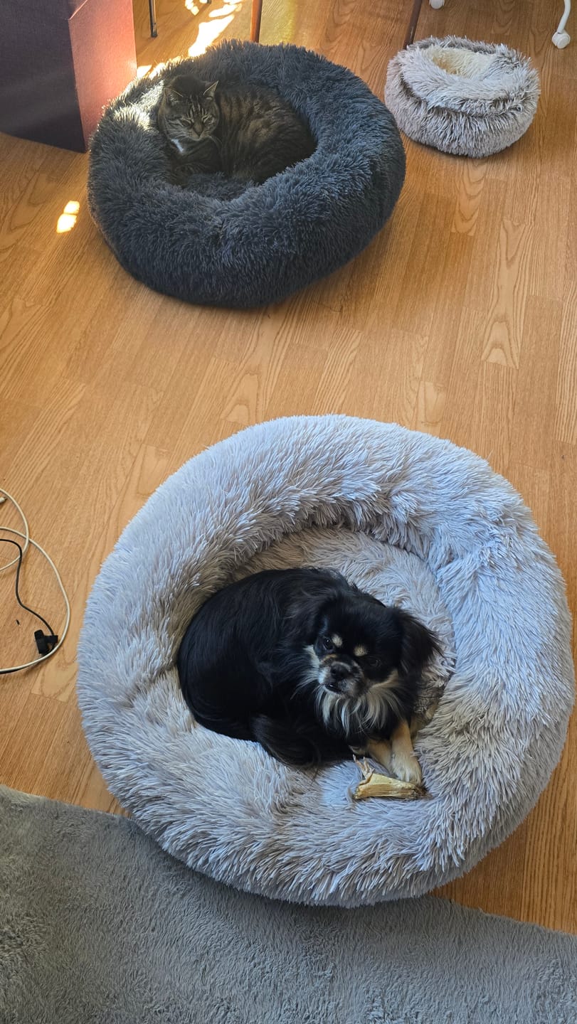 Customer photo review of CalmBed - Motvirker stress & hjelper mot angst