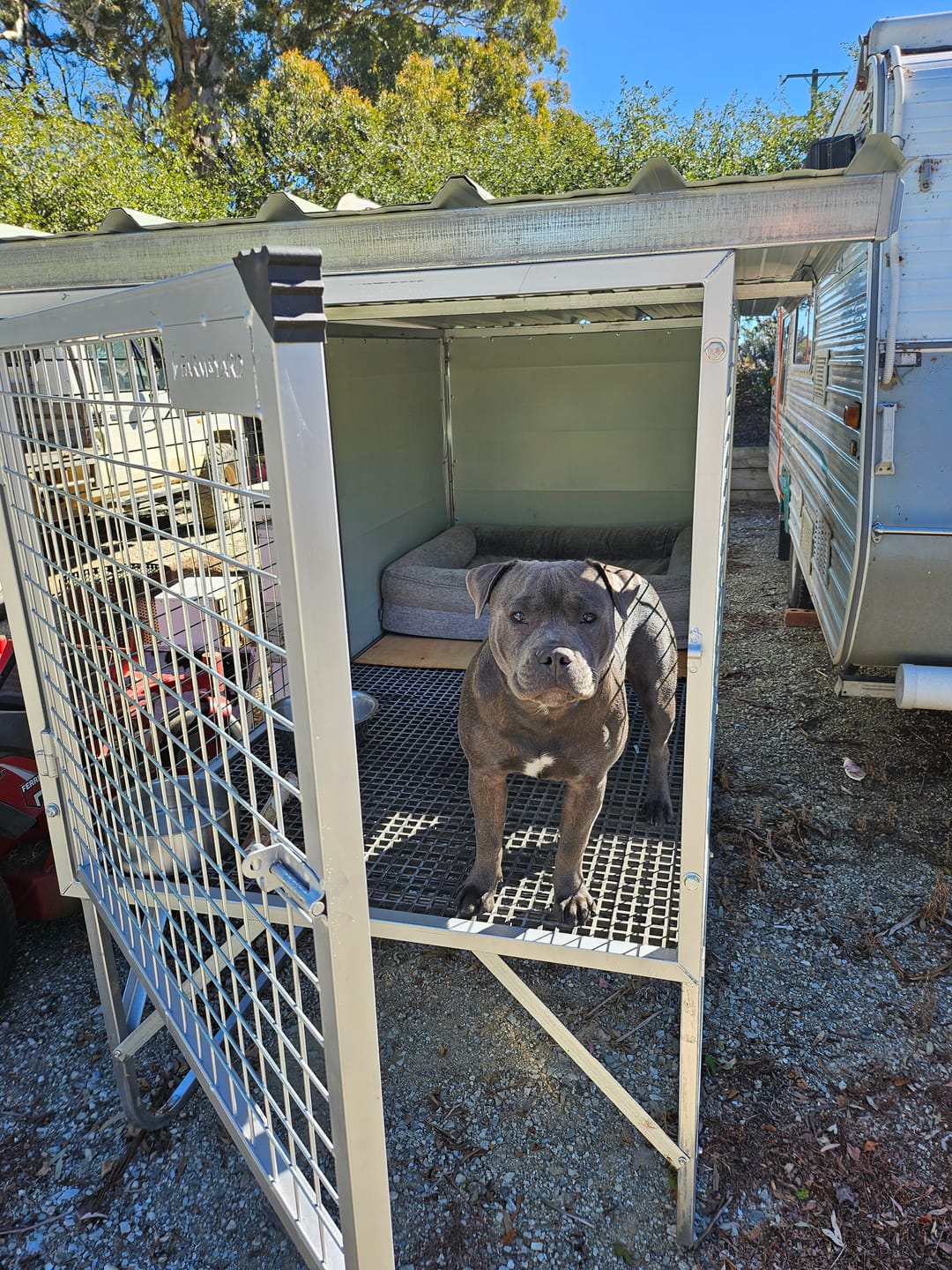 Customer photo review of Raised Safety Kennel