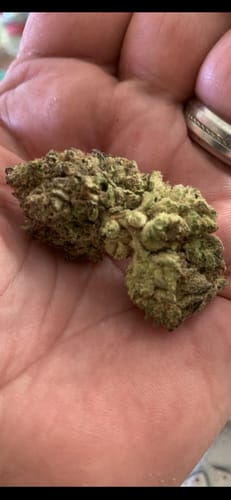 Peak 112 - Bulk - Indica photo review