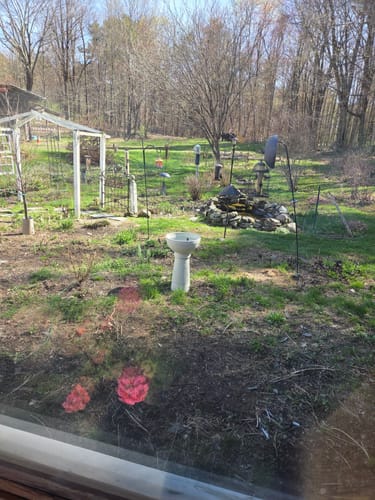 Customer photo review of Lecce Cordless Fountain