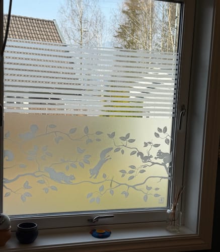 Kundens Pineview vindusfolie med ekornmønster sett rett forfra på et vindu, med stripete folie over.