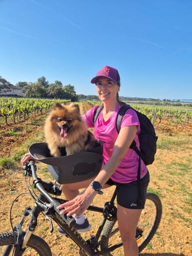 Reviewer's fluffy Spitz dog sitting in the Kvisp Dog Bike Carrier during a bike ride through a vineyard.