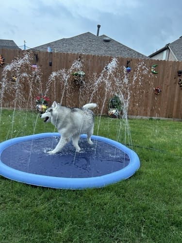 Customer photo review of Spleshee™