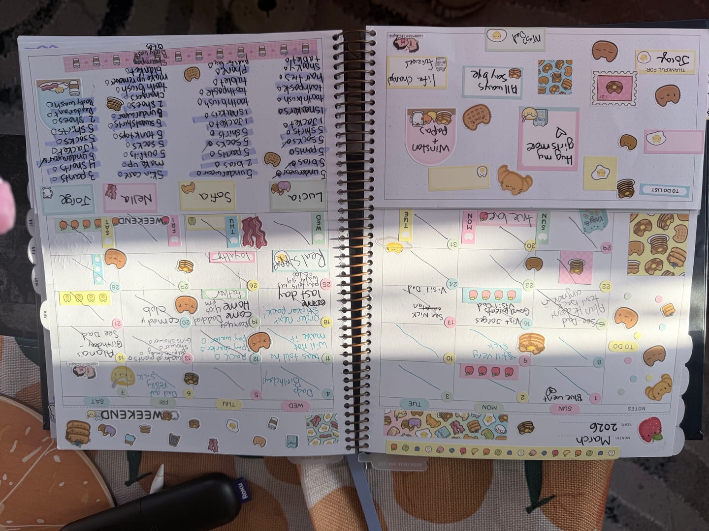 Customer photo review of Planner Subscription