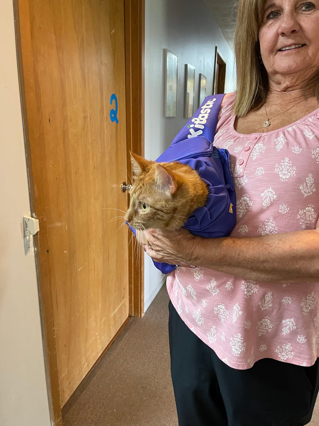 Customer photo review of Kitastic Cat Carrier