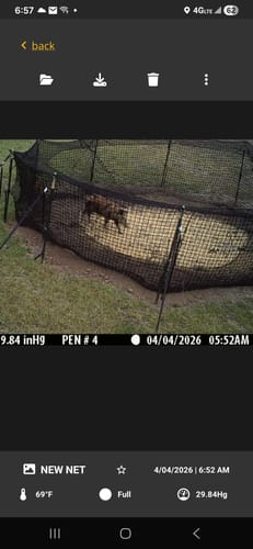 Customer photo review of Pig Brig Trap System