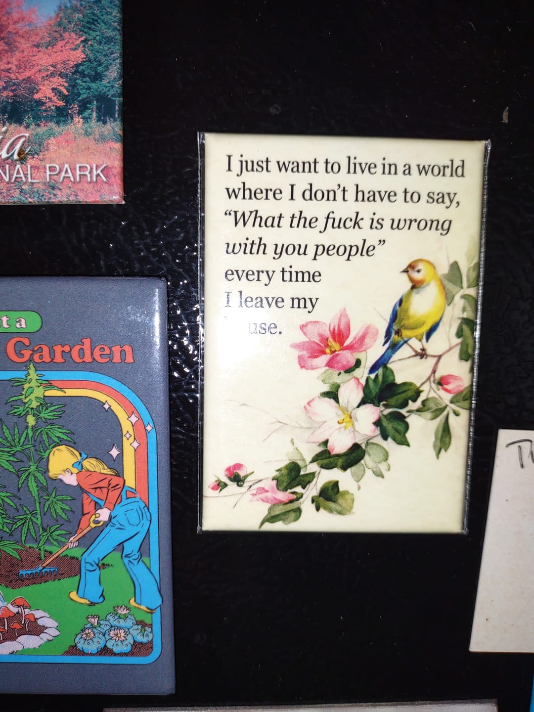 Customer photo review of I Just Want To Live In A World Magnet