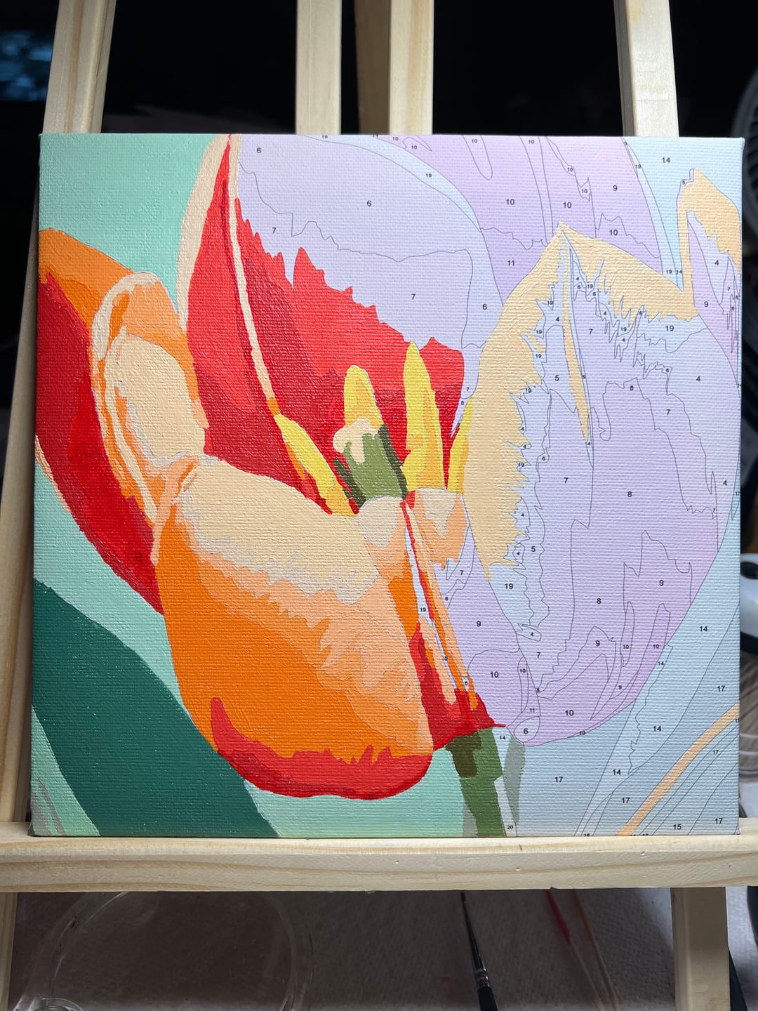 Customer photo review of Vibrant Tulip