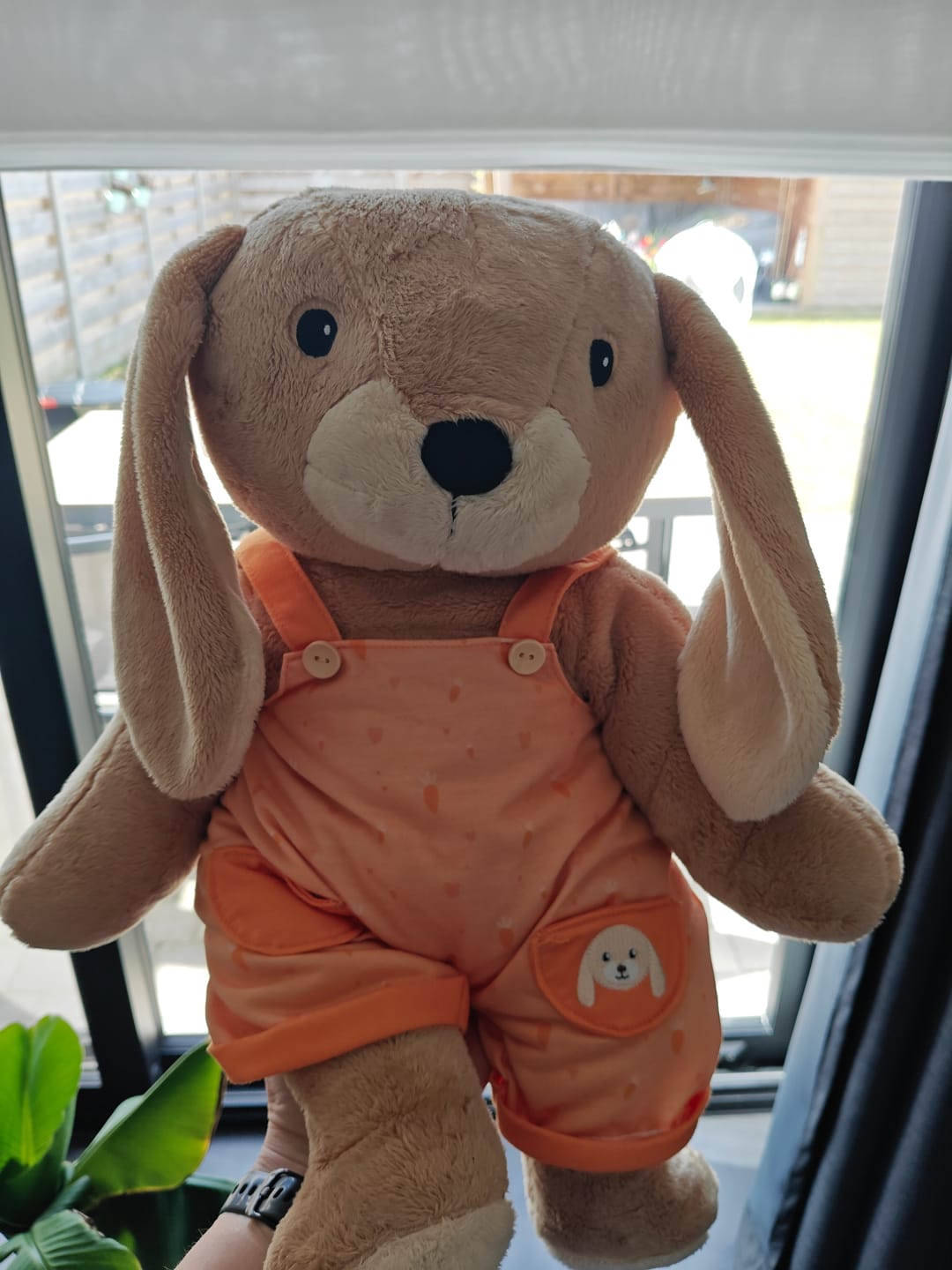 Customer photo review of Konijn Kleding Lente Lotgenootje