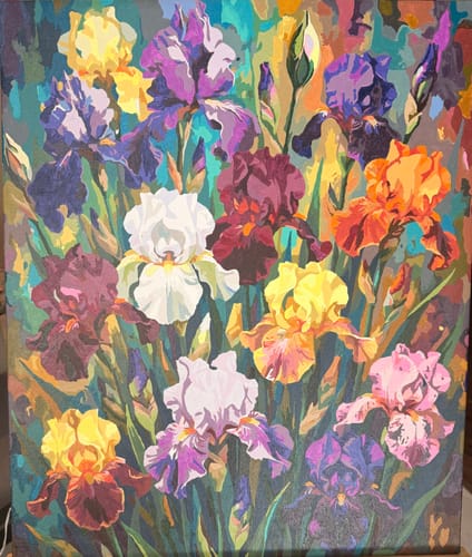 Customer photo review of Colorful Iris Garden (80 Colors)