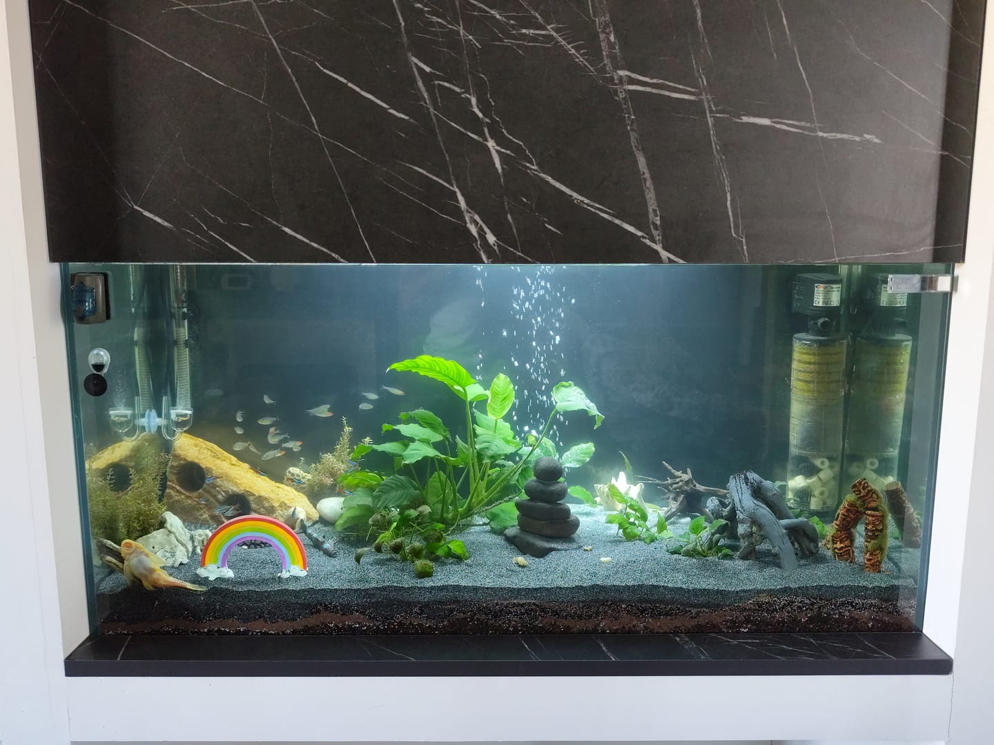 Customer photo review of Cuve Nue en Verre SCALARE - 200 L