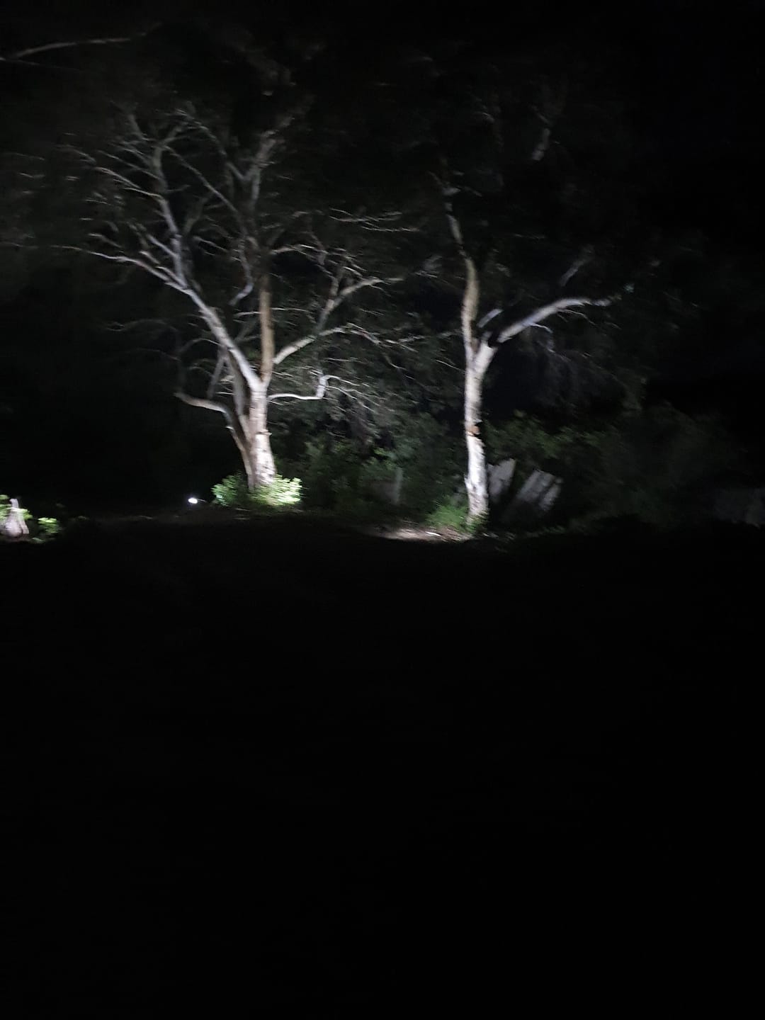 Customer photo review of SolaGarden™ Cordless Outdoor Spot Lights