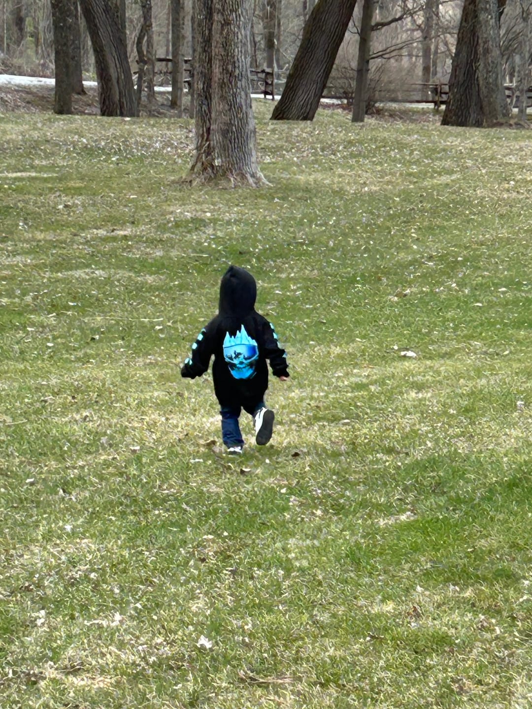 Customer photo review of Skull Mountain - Hoodie