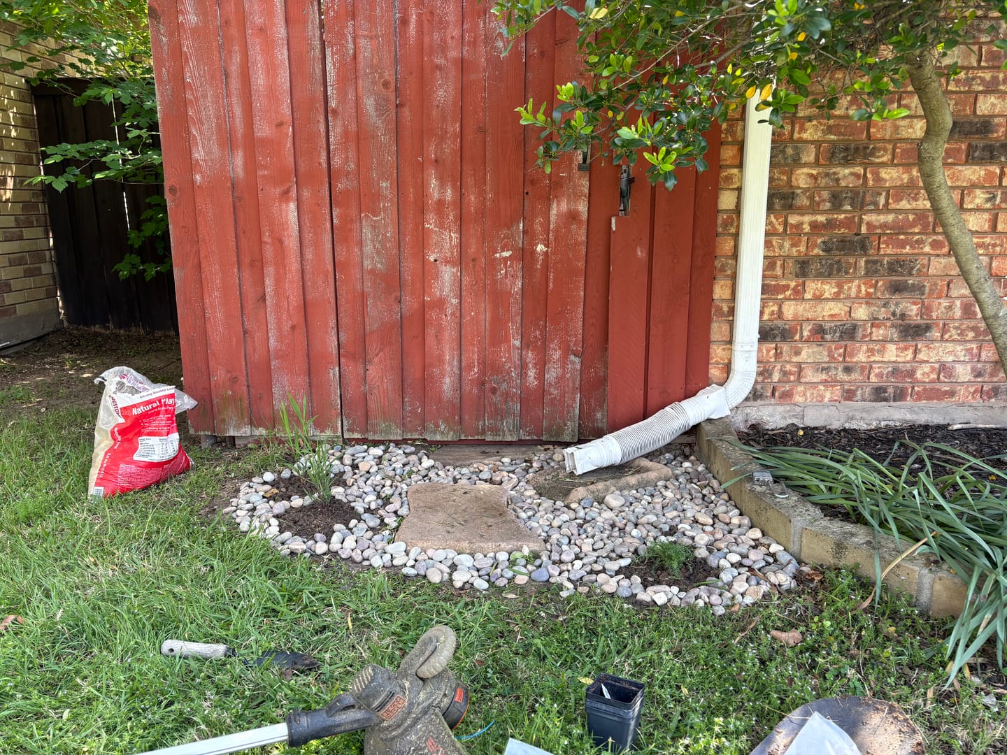 Customer photo review of Inland Sea Oats