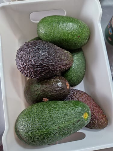 Ein Kunde zeigt mehrere kleine Avocados des Baby-Mix in einer weißen Kiste, die unterschiedlich reif sind.