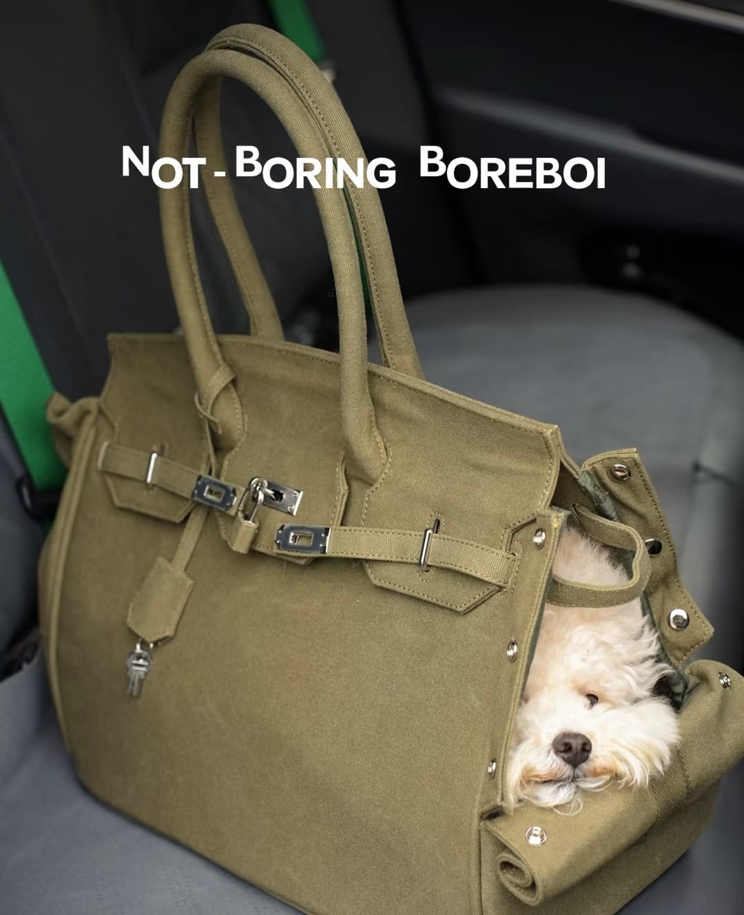 Customer photo review of The Barkin Pet Carrier