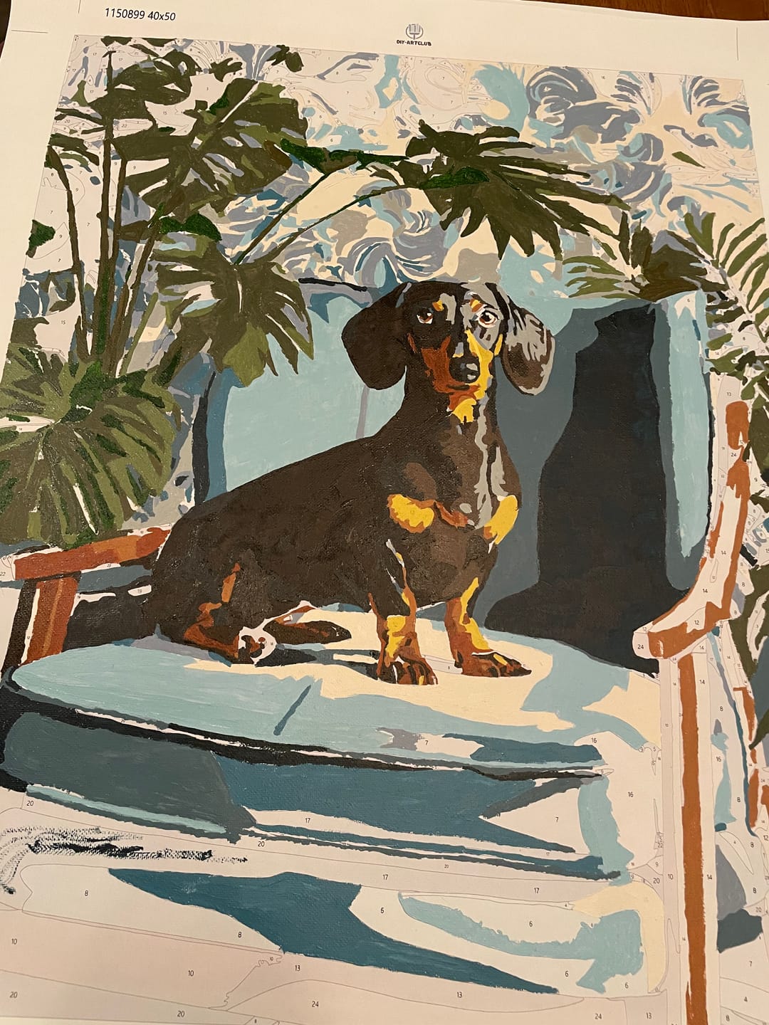 Customer photo review of A posing Dachshund | Paint by Number