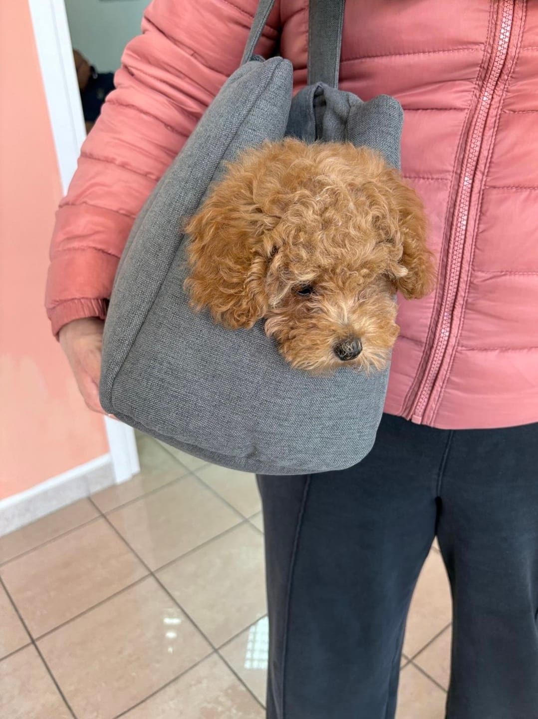 Customer photo review of Cerniera per Borsa