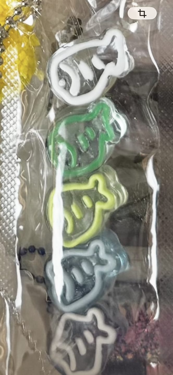 Customer photo review of 「お魚シリーズ」ブラインドボックス　配信専用