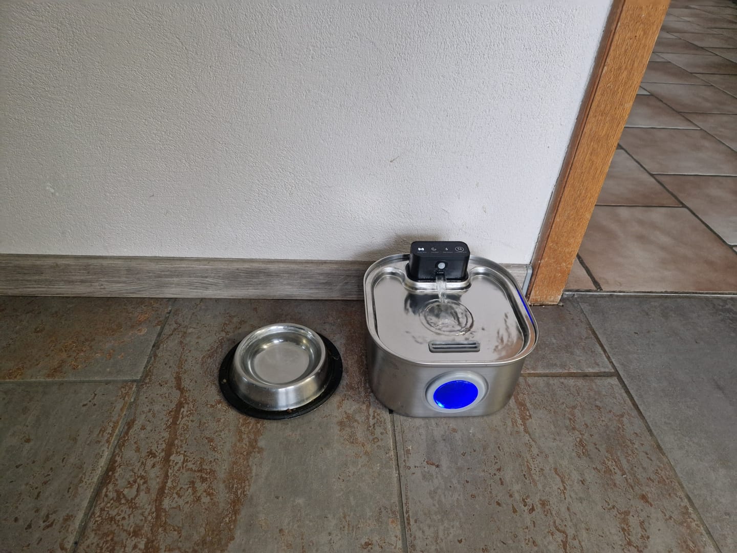 Customer photo review of PfotenBrunnen™ - Katzenwasserspender