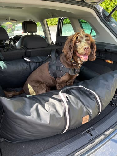 Customer photo review of The Dog Dock V2 New & Improved with ISO Fix