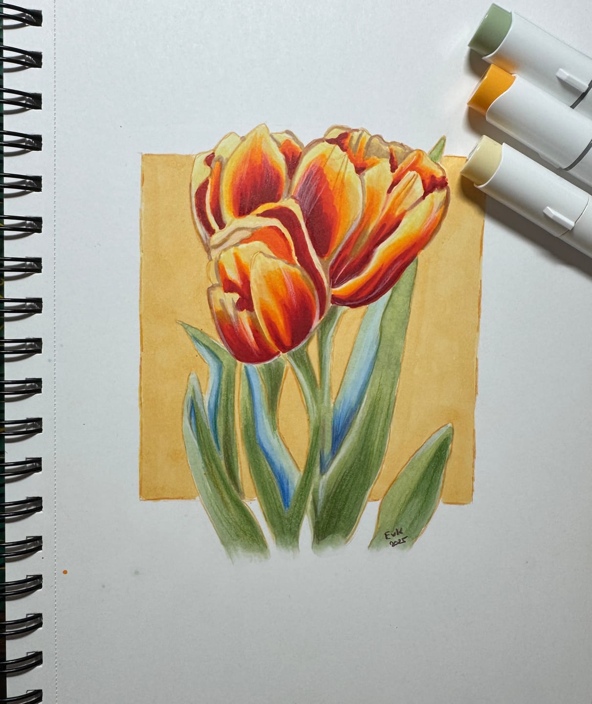 Customer photo review of Ohuhu Spiral-Bound Marker Pad for Alcohol Markers (Europe Only)