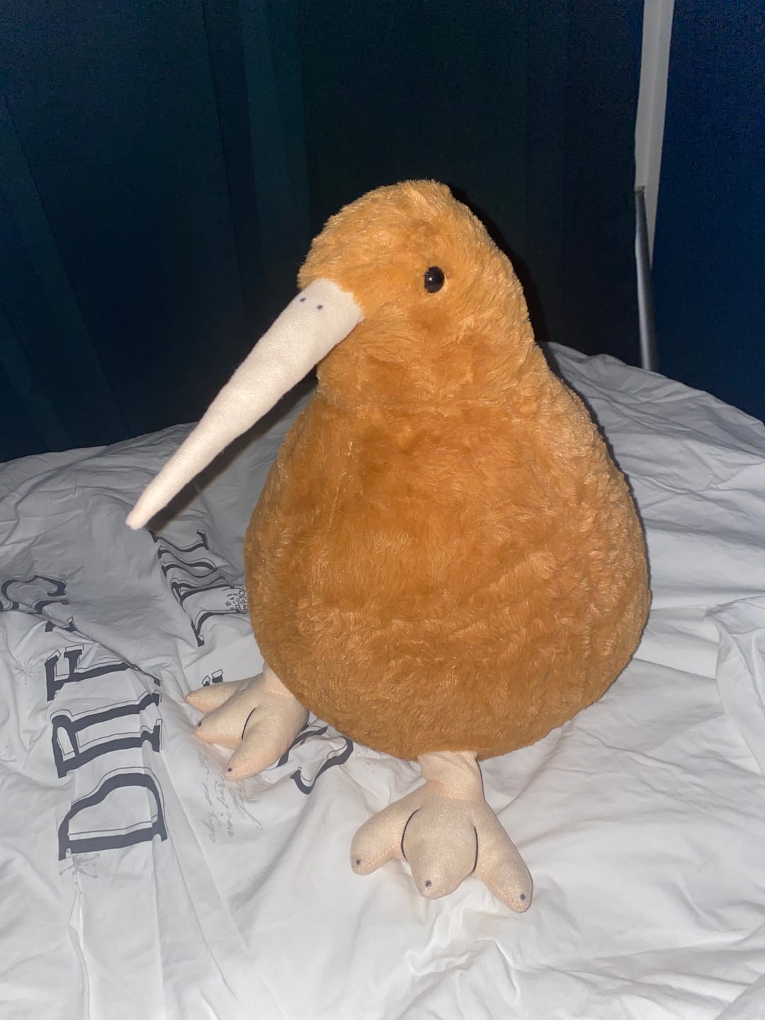 Customer photo review of Kiwi Soft Stuffed Plush Toy