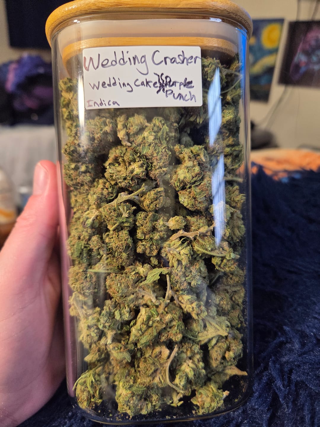 Customer photo review of Wedding Crasher - Bulk - Indica