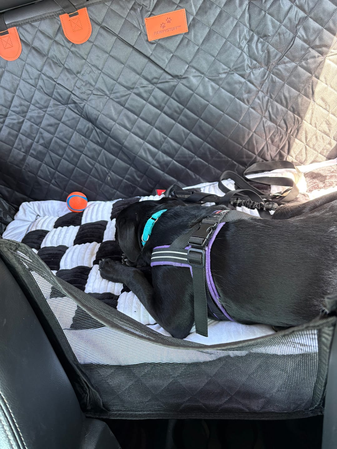 Customer photo review of CozyRider™ 2.0