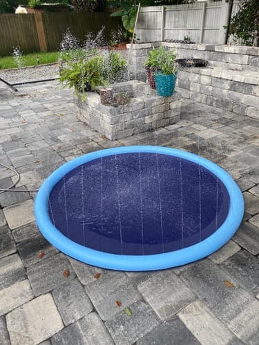 Customer photo review of Spleshee™