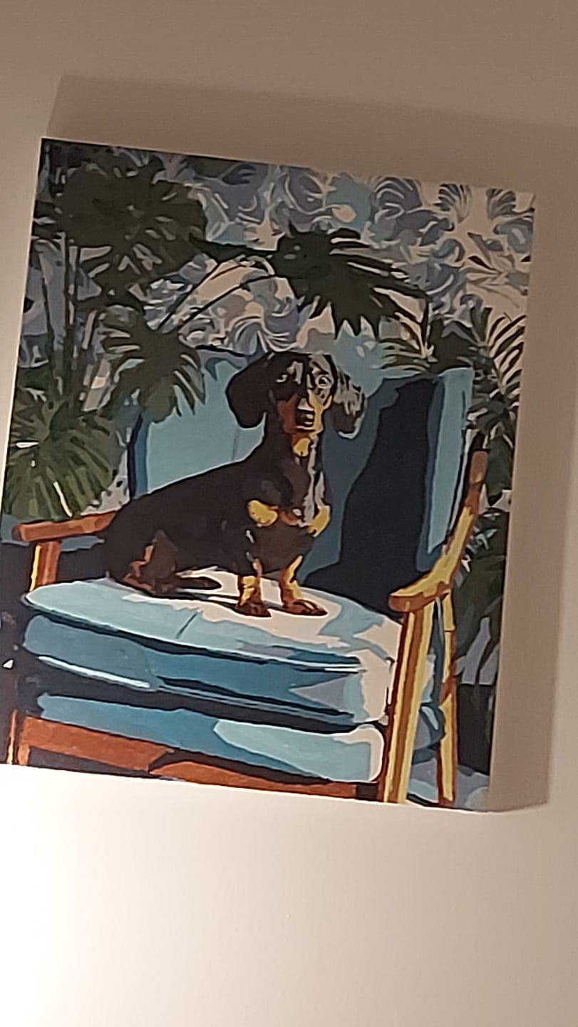 Customer photo review of A posing Dachshund | Paint by Number