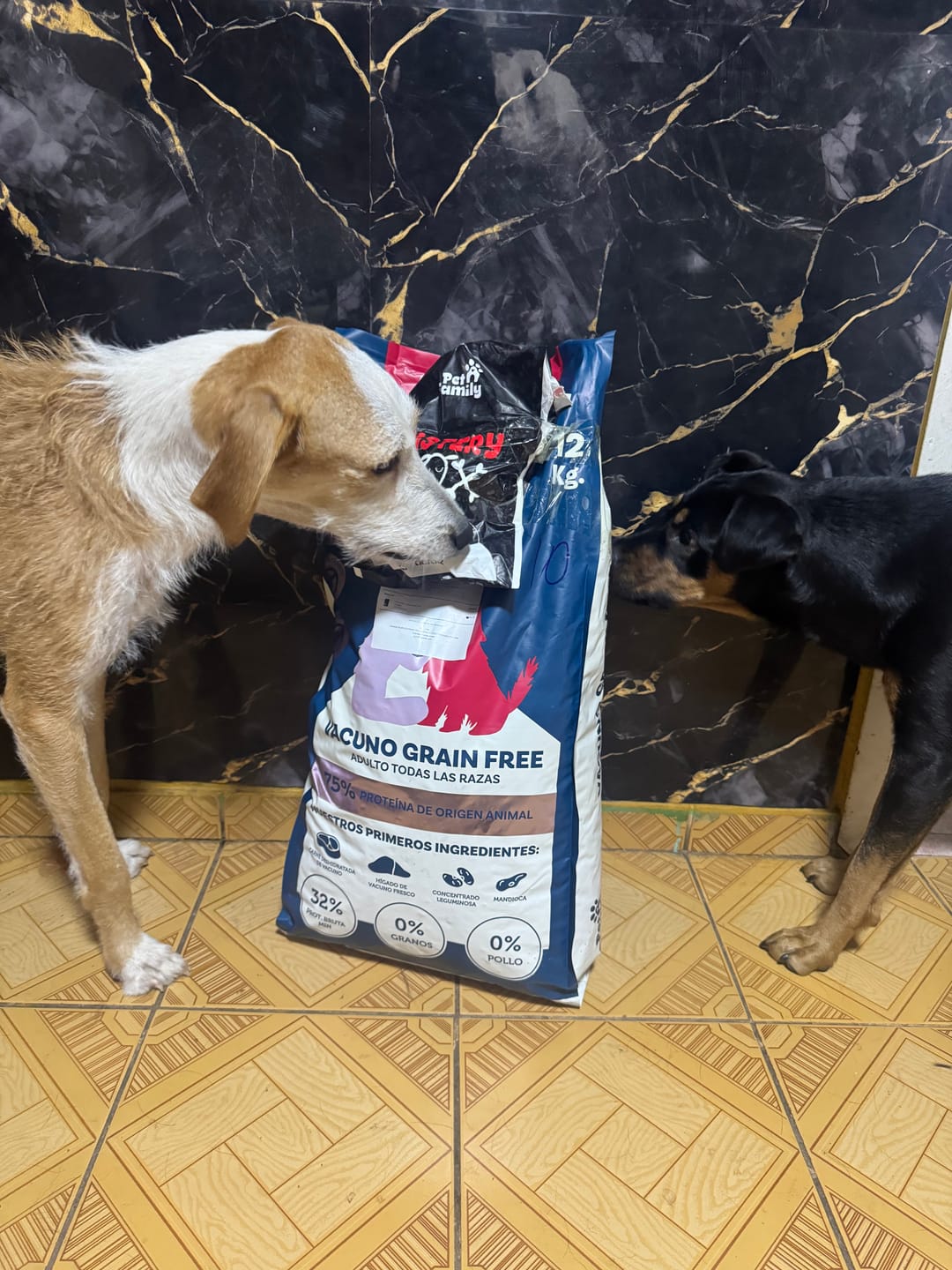 Customer photo review of PetFamily Foods Grain Free