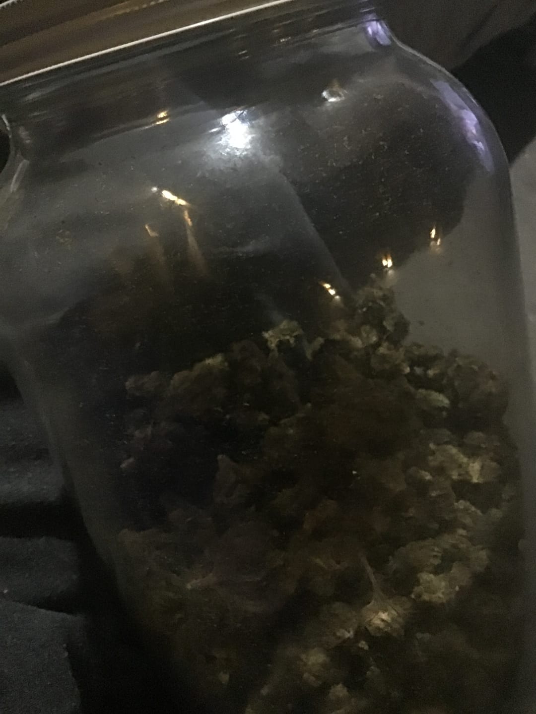 Customer photo review of Butterscotch OG - Bulk - Indica