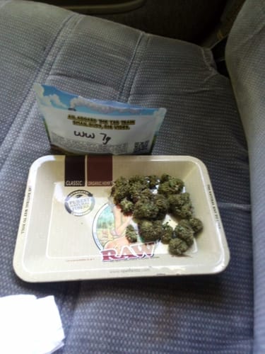 Customer photo review of White Widow THCA Flower