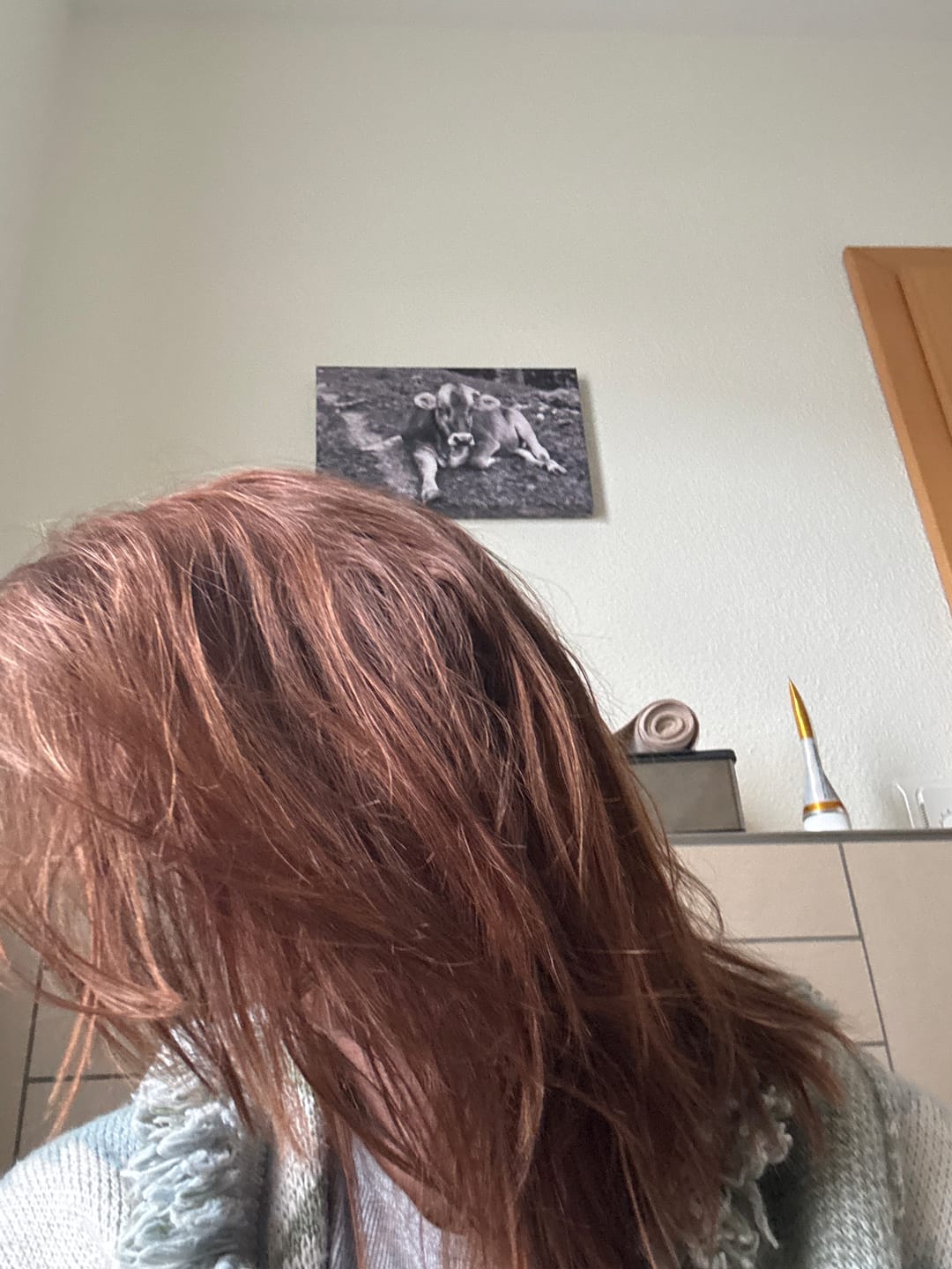 Customer photo review of 8% Apple-Wonder Haarseife (Haarglanz & fluffig-weiches Haar)